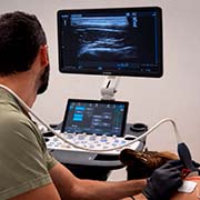 clínica de fisioterapia en Alicante para el dolor de cabeza